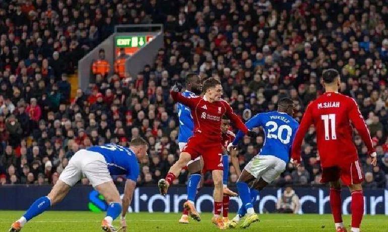 单板滑雪入门自学